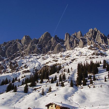Appartementhaus Hochkoenig 1- Birgkar Mühlbach am Hochkönig Exterior foto